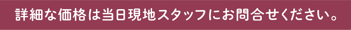 詳細な価格は当日現地スタッフにお問合せください。