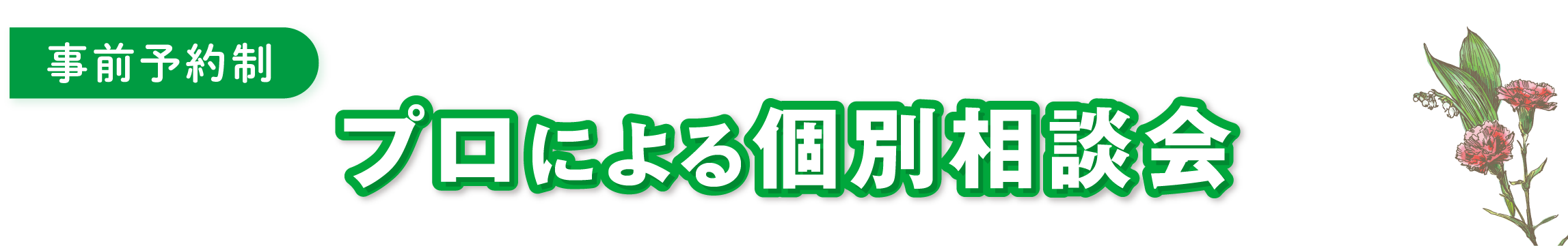 プロによる個別相談会